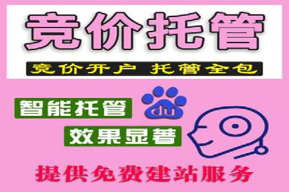 百度竞价竞争分析：实战案例与应对策略